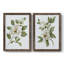 «Magnolia Morning I», reproduction de photo sur toile 2 pièces-2127861374-2127861370
