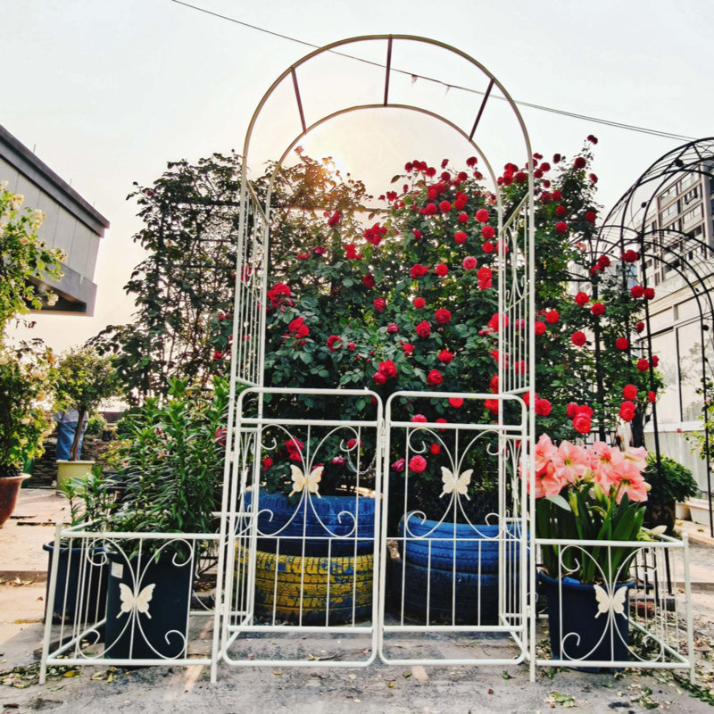 Arche de jardin en métal avec barrière 79,5 po x 86,6 po
