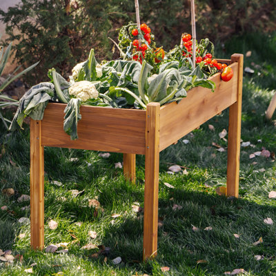 Archbald 49.5" W Solid Cedar Wood Raised Garden Bed with Liner