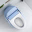 Toilette intelligente 12 po 15,75 po 12 po à siège rond 12 po