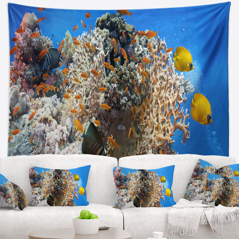 Photographie coral scene panorama tapisserie, H 50 po x l 60 po