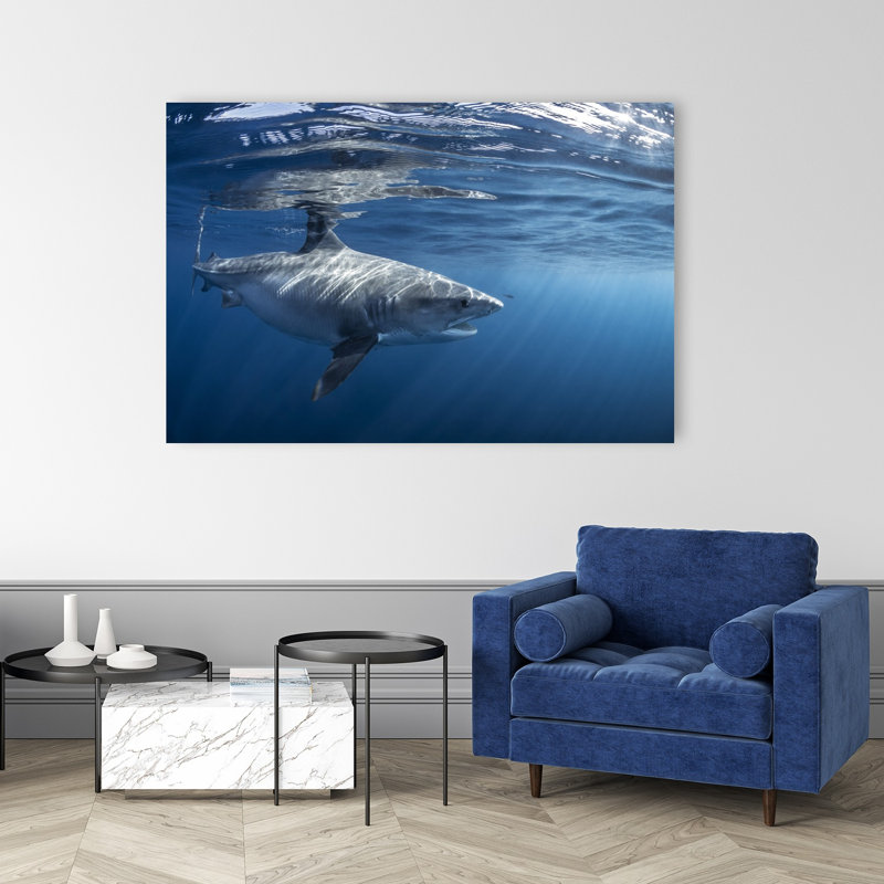 Impression d'art mural majestueux requin blanc contemporain, H 40 po x l 60 po