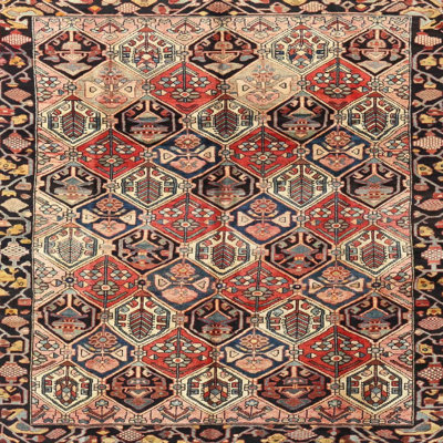 Southwestern Indoor Rug