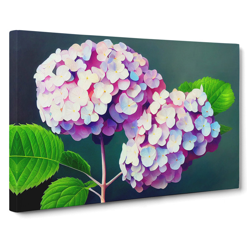 Glowing Hydrangea Flowers - Wrapped Canvas, 35cm H x 50cm W x 3cm D