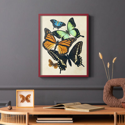 Collaged Butterflies I Framed Print - Solid Wood