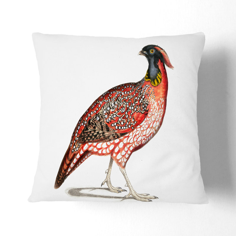 Square Throw Cushion, 40cm H x 40cm W x 15cm D