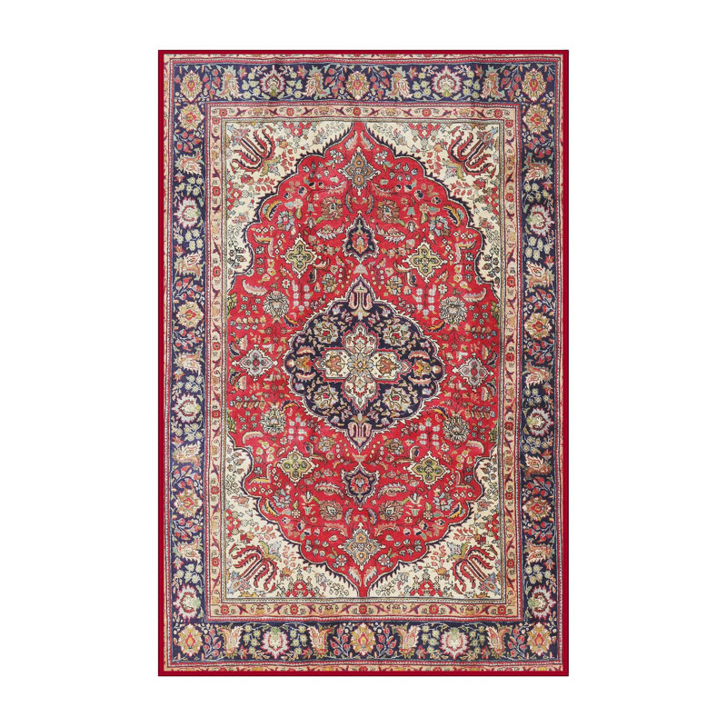 Ayse Oriental Indoor Rug, Rectangle 8' x 10'