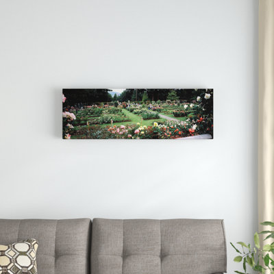 " International Rose Test Garden, Washington Park, Portland " Print
