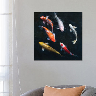 Colourful Koi Carps In A Garden Pond by Jan Becke - Wrapped Canvas Print