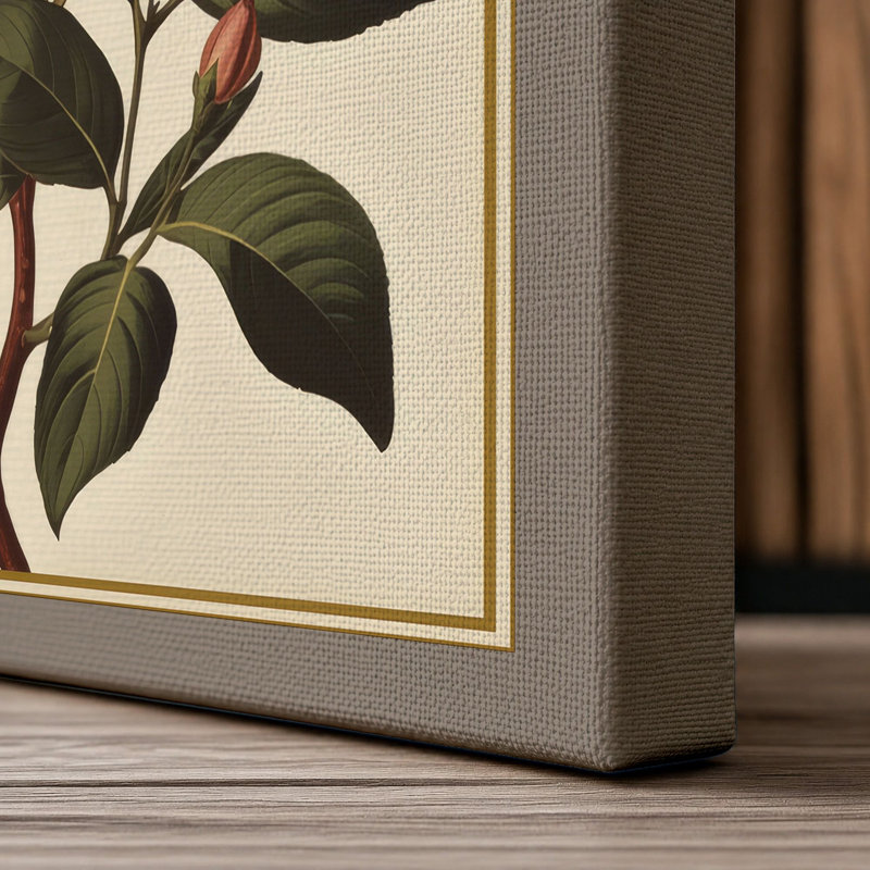 Study Botanical - Wrapped Canvas, 18x12 - 45.7 x 30.5 cm, Taupe Border