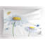 Ensemble de 2 taies décoratives Ambesonne-100329599