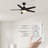 52'' Ceiling Fan with LED Lights