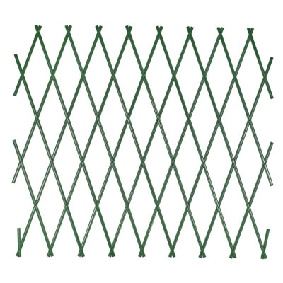 Privacy Fence