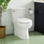Toilette allongée une pièce Brinstead 1,28 GPF-175089413