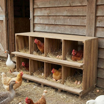 Boîte de nidification en bois à 8 compartiments avec perchoir, boîte en bois massif pour poules