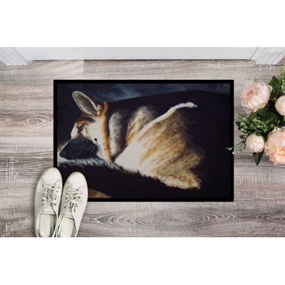 Wauneta Non-Slip Outdoor Doormat
