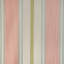 Davies Stripe-1580108498