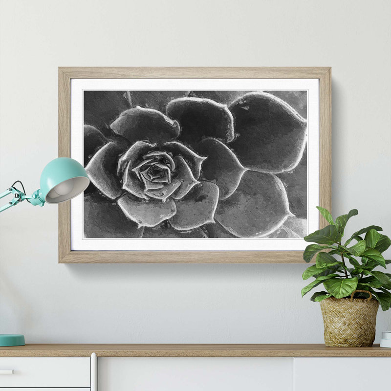 Succulent Plant - Picture Frame Painting Print, 27cm H x 36cm W x 2cm D, Oak Framed