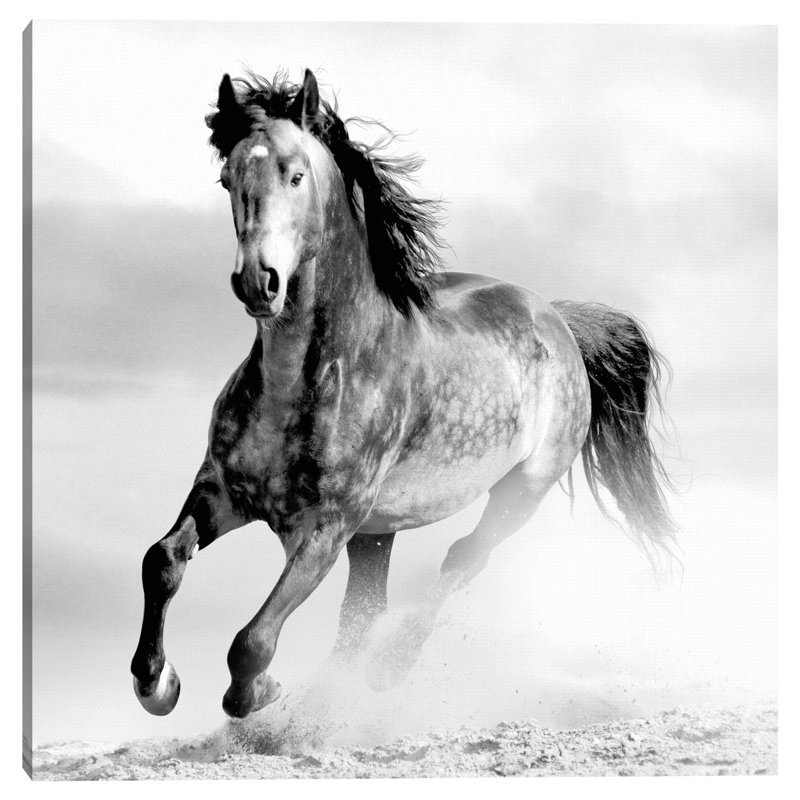 " Running Wild "