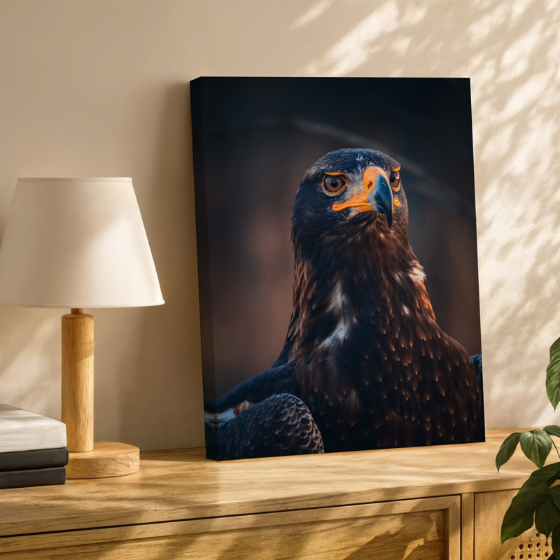 Toile, Aigle majestueux avec un regard vif et saisissant mettant en vedette un art mural riche, un plumage foncé accentué par des taches plus légères