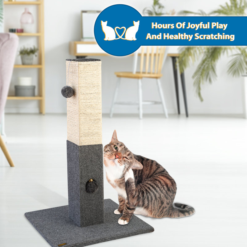 Scratching Post
