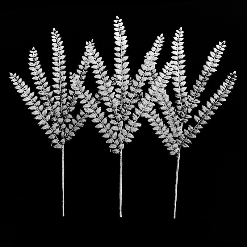 Pioche de 30 pouces, Argent argent