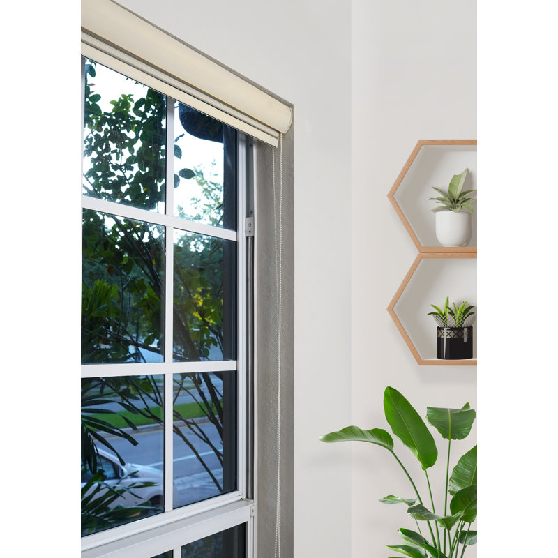 Rideaux à motif zébré Pinecrest Home Goods pour fenêtres d'intérieur filtrant la lumière et obscurcissant (couleur crème) (hauteur 78 pouces) (largeur 49 pouces)