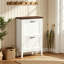 Flip Down Shoe Storage-1499676319