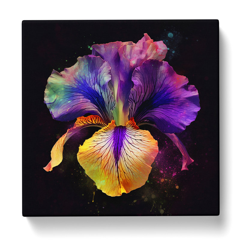 Iris Flower Digital Art - Print, 50cm H x 50cm W x 3cm D
