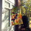 Drapeau de la maison de l'orignal