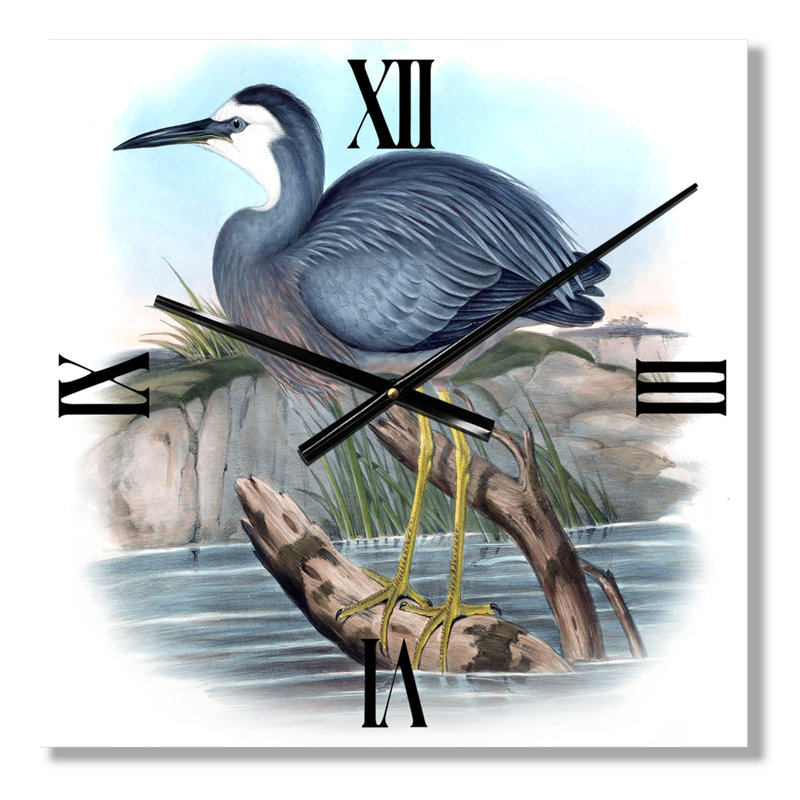 Horloge murale rétro, oiseaux australiens II, Très grand