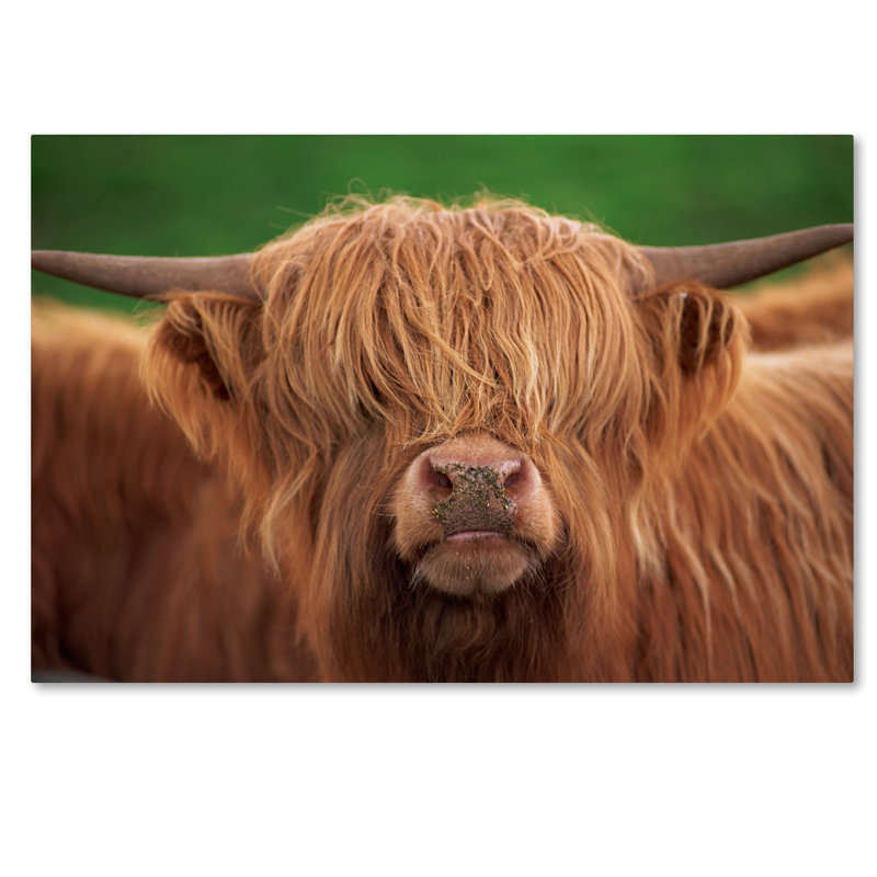 Ann «Yak», reproduction de photo sur toile tendue, 16 po x 24 po