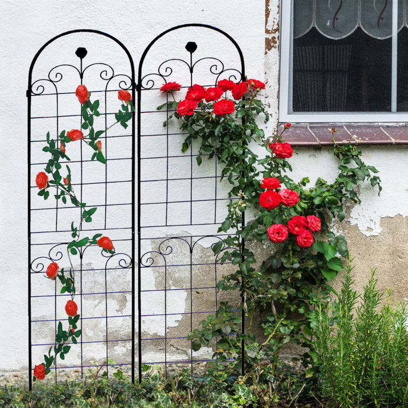 Paquet de 4 treillis de jardin en métal pour plantes grimpantes Vitagliano