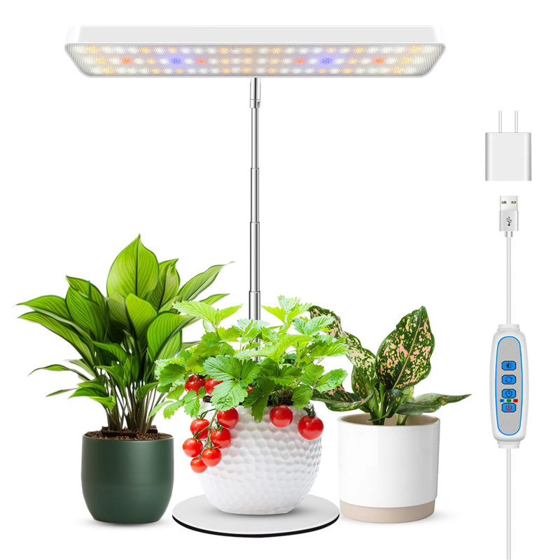 Naomi Grow Light