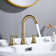Widespread 2-handle Bathroom Faucet with Drain Assembly