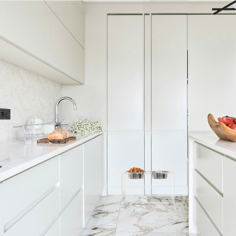 Grande mangeoire surélevée transparente avec bols, Argent argent