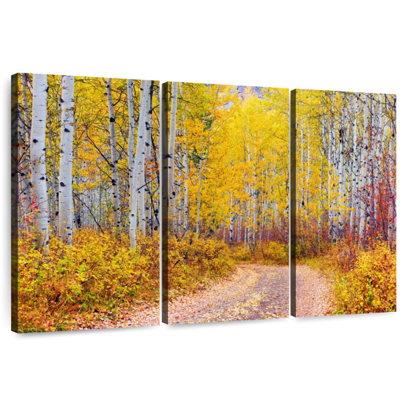 Alvord Aspen Forest Colorado, 32" H x 50" W