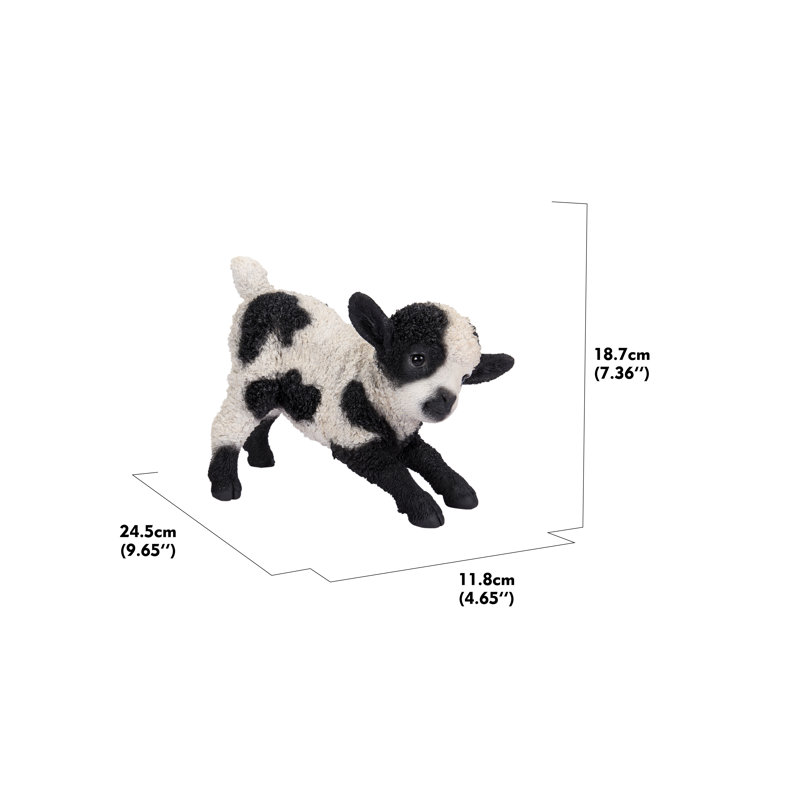 Jeu d’agneau de bébé, Noir