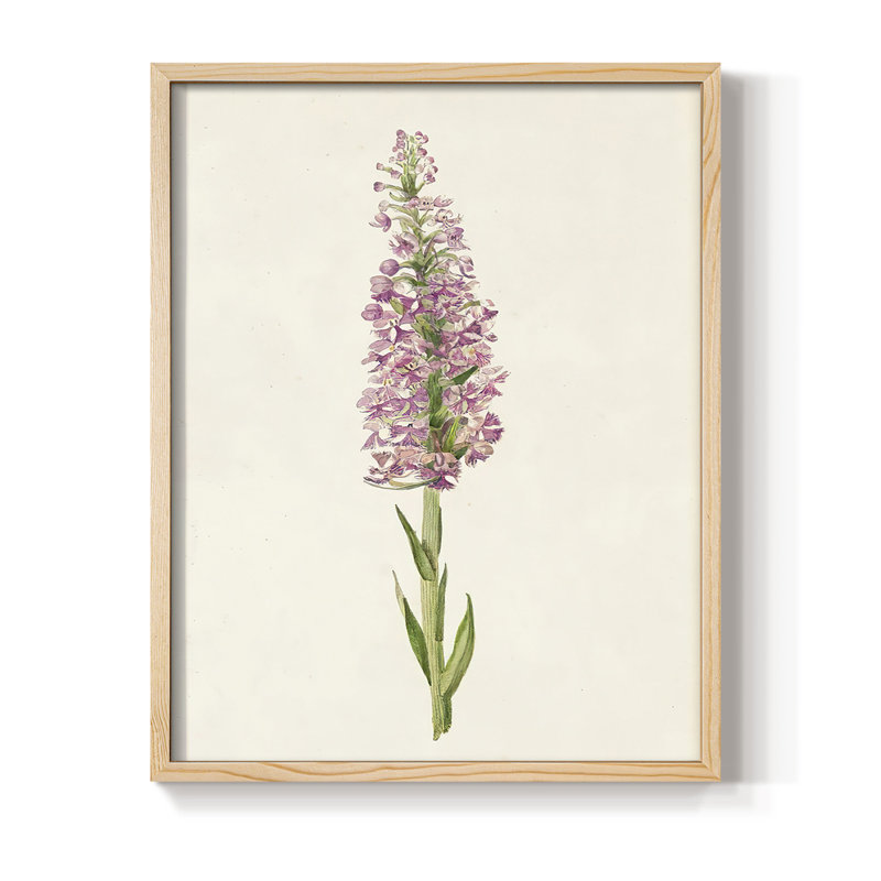 Mauve Garden Flowers I Framed Print - Solid Wood, 30" H x 24" W