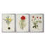 Fleurs des saisons VI - Toile tendue avec châssis sur mesure - 3 pièces-330338245-330338260