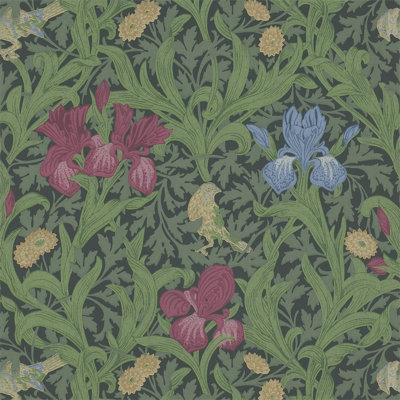 Iris Wallpaper