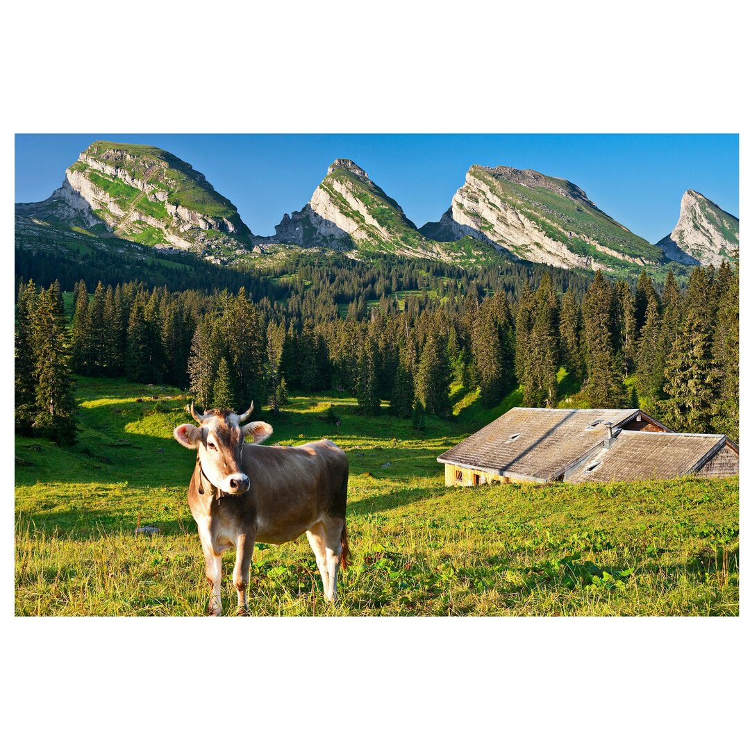 Seidenmatte Tapete Schweizer Bergwiesen mit Kuh