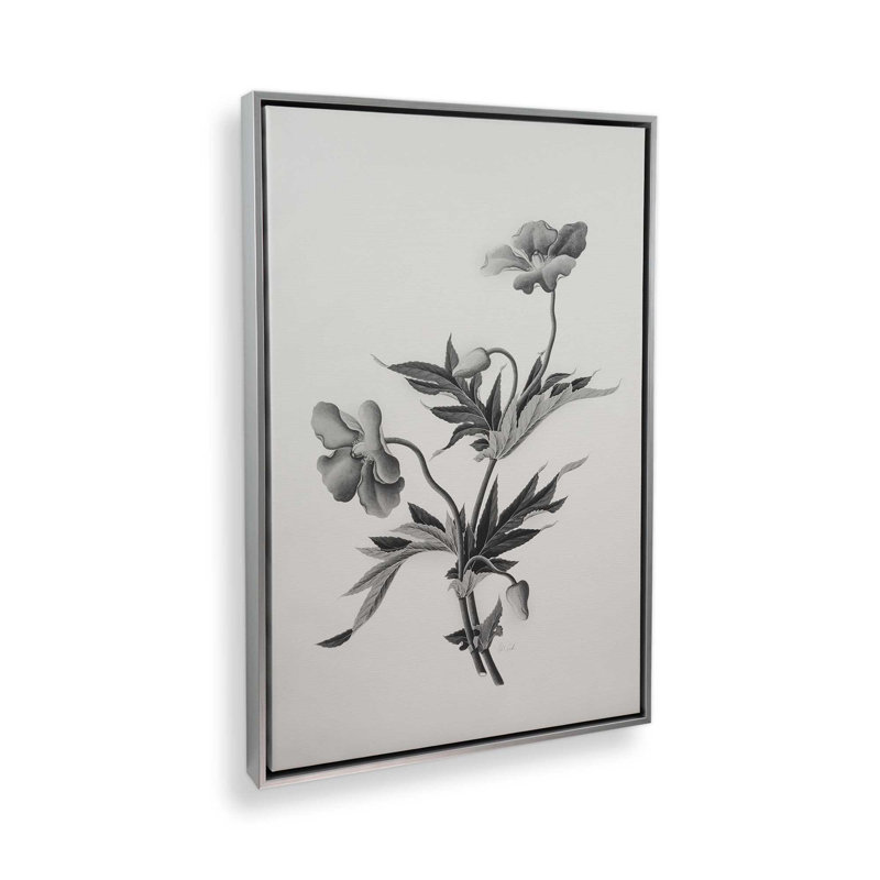 «Botanical II» par Deborah Revell, reproduction d'art sur toile, H 30 po x l 20 po, Flotteur, Argent argent