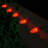 OptiCore LED Shatterproof C7 Christmas Light Replacement Bulbs-83651409
