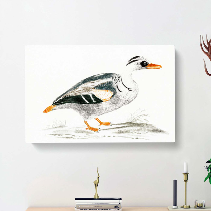 Portrait Of A Duck by Johan Teyler - Wrapped Canvas Print, 40cm H x 60cm W x 3cm D