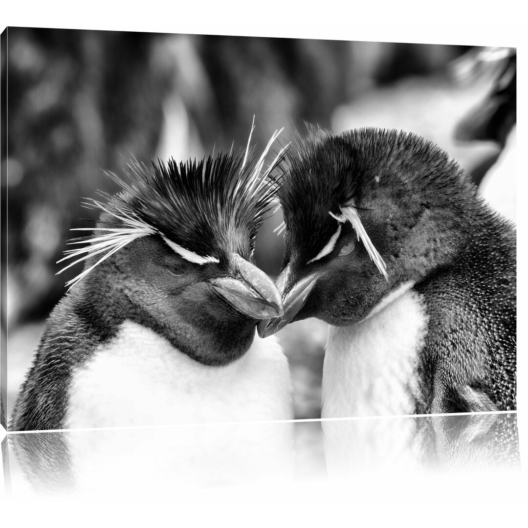 Leinwandbild Pinguin Kuss in Monochrom