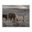 Art mural sur toile Country Horses in Valley par Lori Deiter