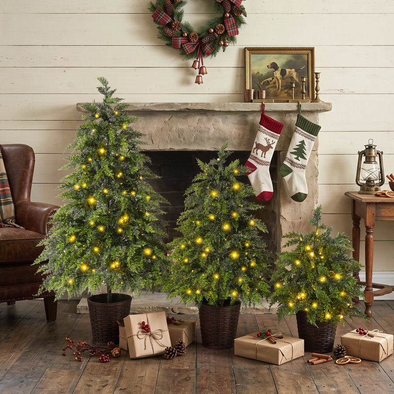 Ensemble de 3 sapins de Noël en pot pré-illuminés Everglow, 60 cm, 90 cm et 120 cm.