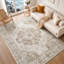 Ailsa Oriental Area Rug-1401372209