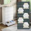 Cunha 70cm W 5 - Drawer Chest of Drawers-1843590099